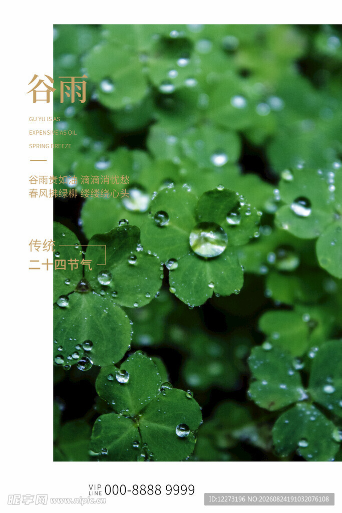 谷雨海报