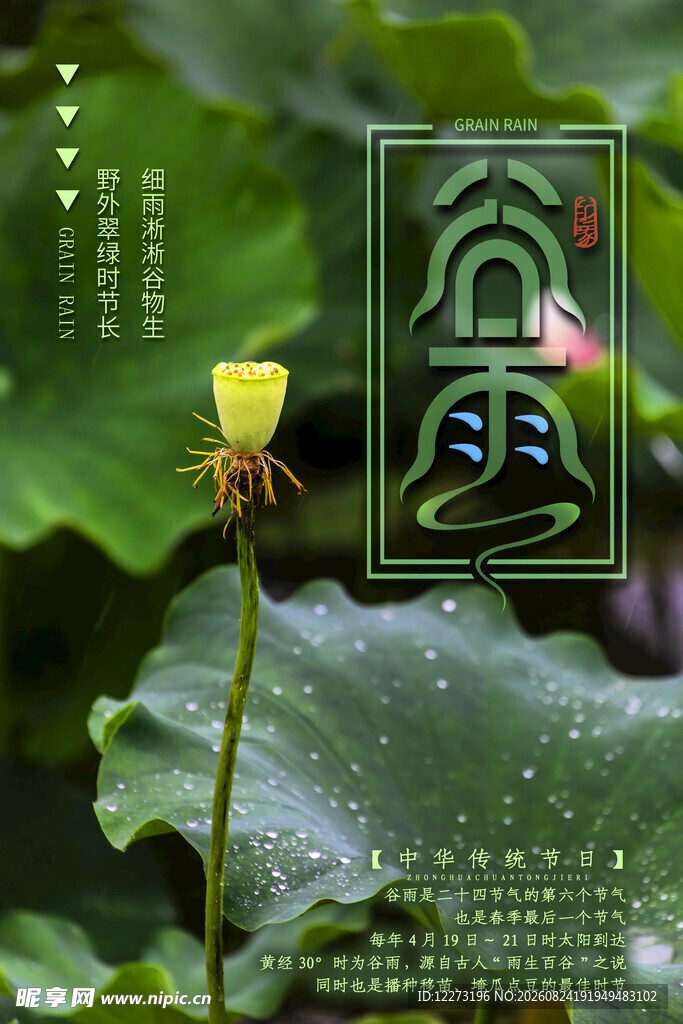 谷雨海报
