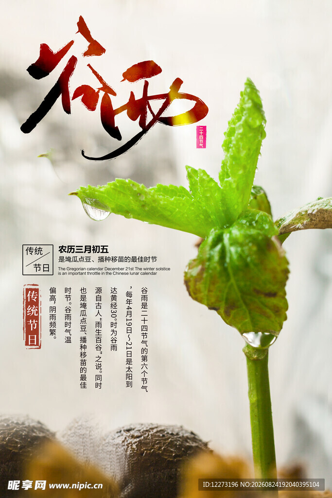 谷雨海报