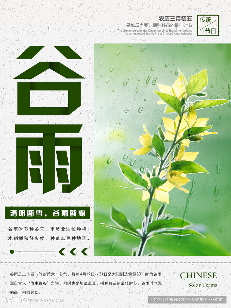 谷雨时节花卉海报