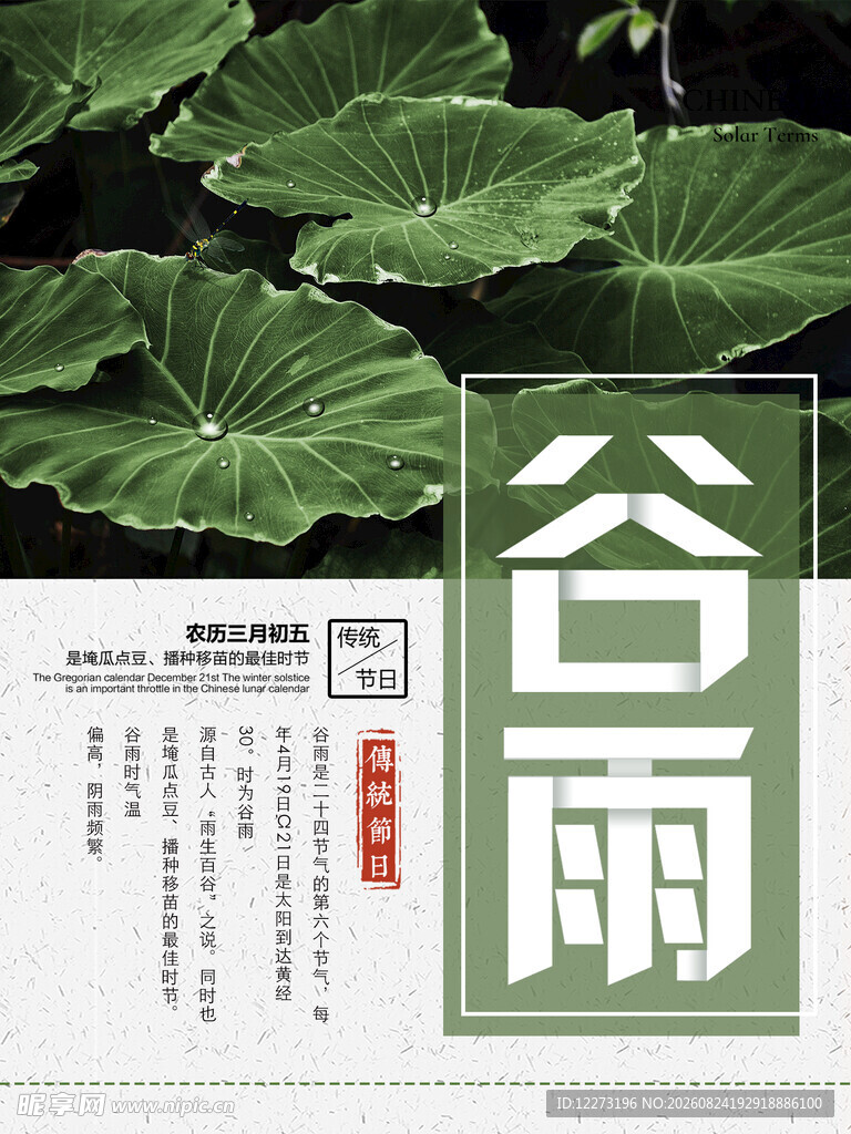 谷雨时节 