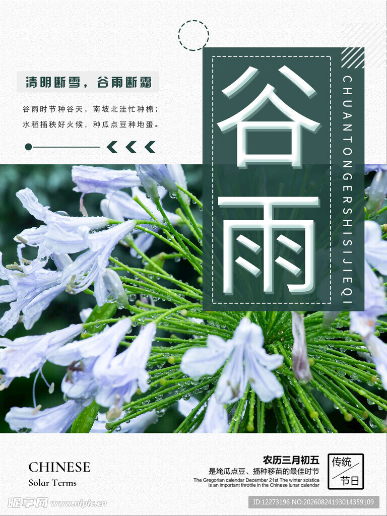 谷雨时节花卉清新海报