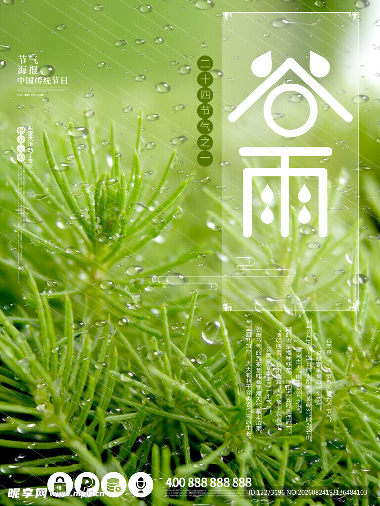 谷雨时节的松针景象