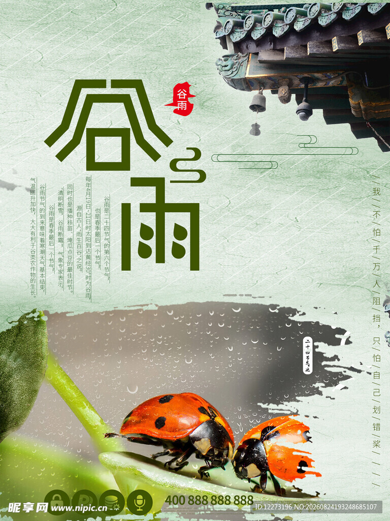 谷雨时节的瓢虫与绿植