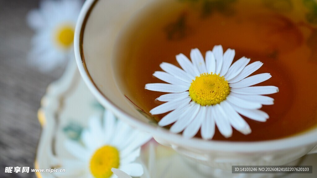 雏菊漂浮的芬芳花草茶