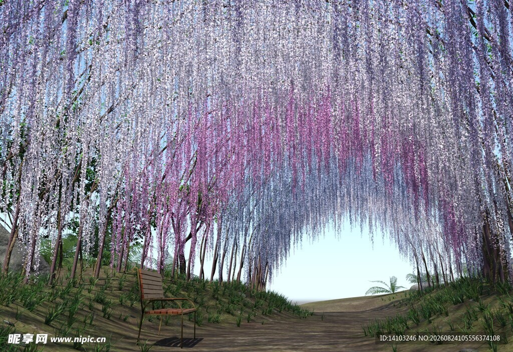 梦幻紫藤花隧道美景