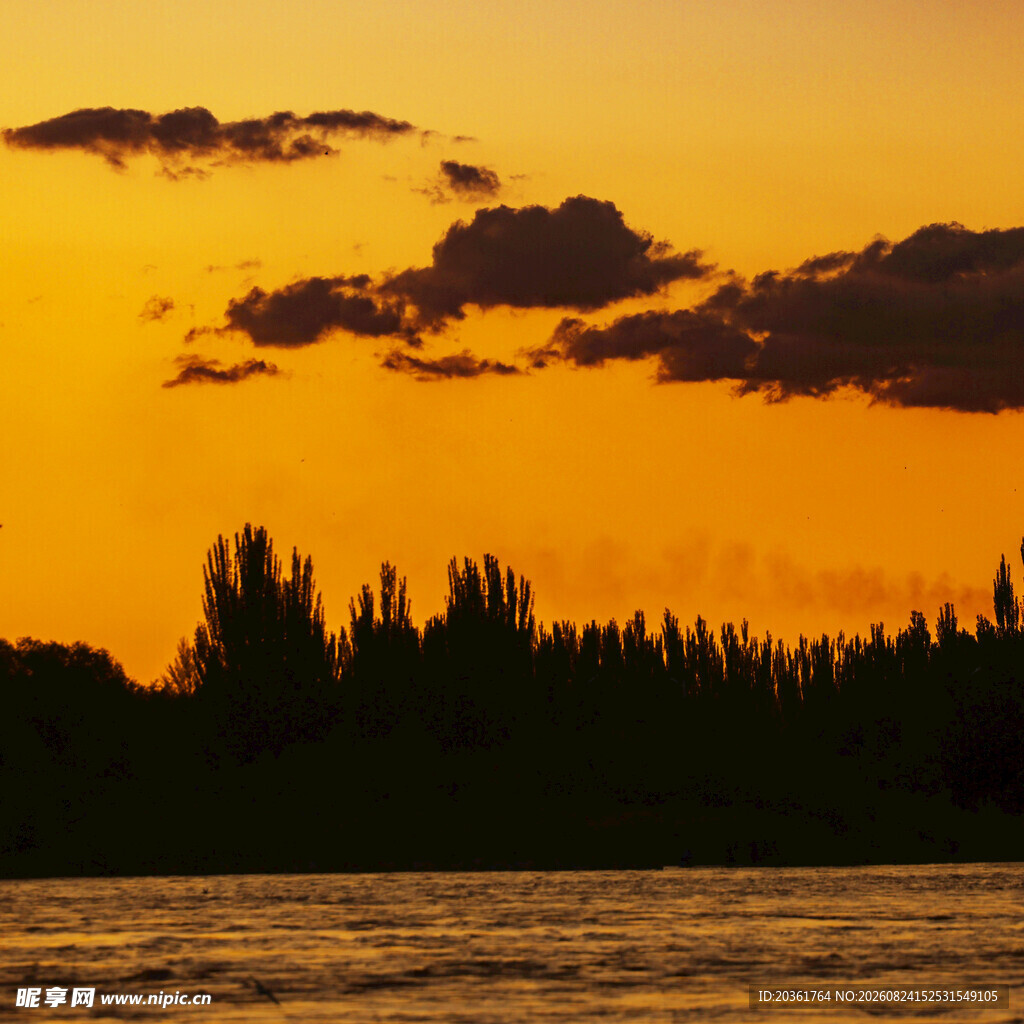 夕阳下的湖畔树林美景