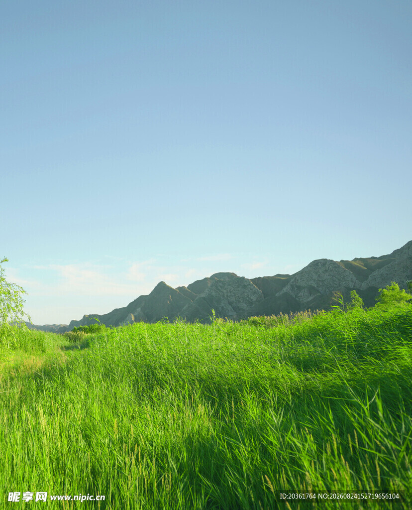 翠绿草地与远山美景