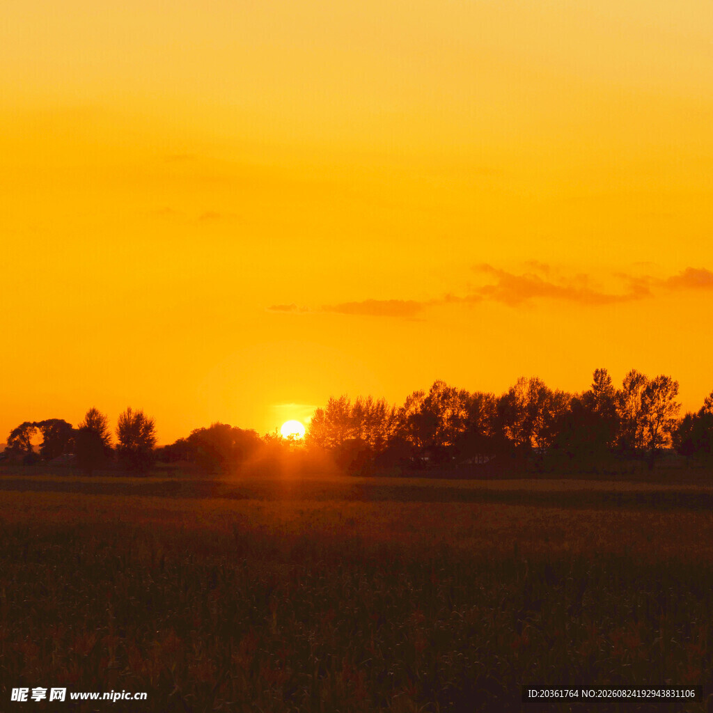 夕阳下的田野美景