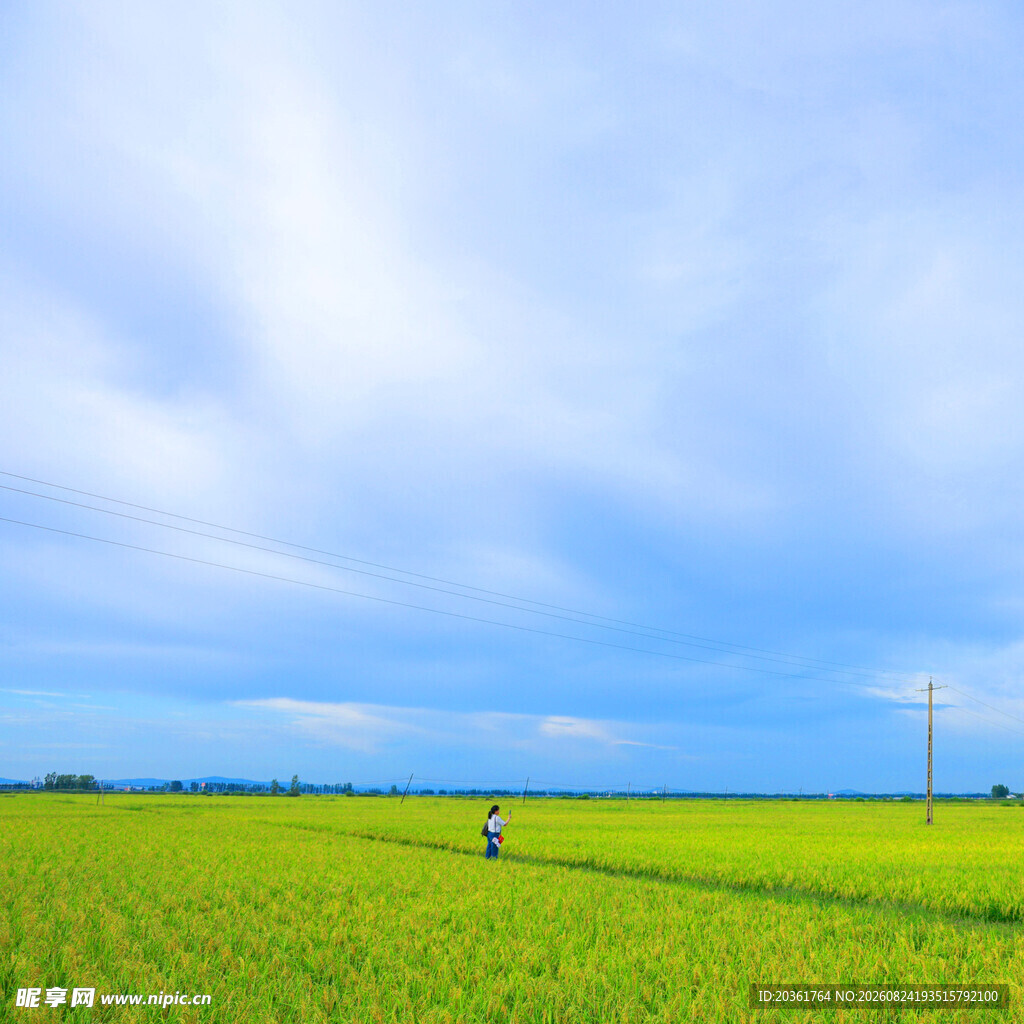 田野漫步景象