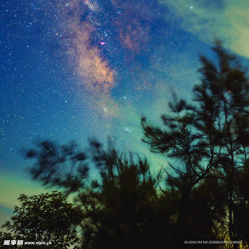 夜空下的璀璨星河与树木