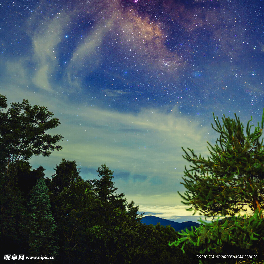 夜空下的森林与璀璨星河