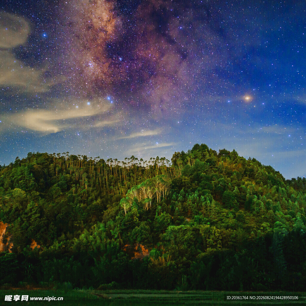 夜空下的葱郁山林美景