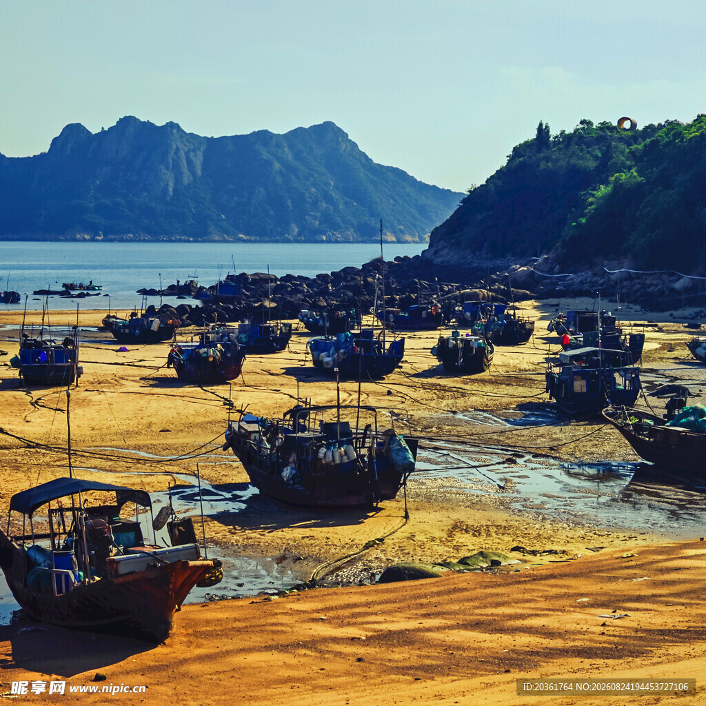 海滩上停泊的众多渔船