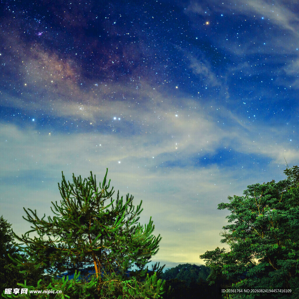 夜空下的树木与璀璨繁星