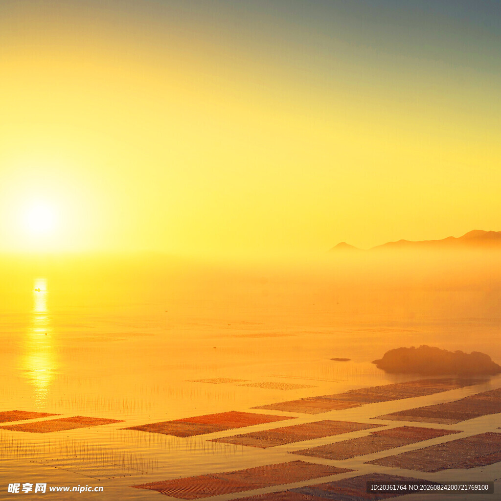 海上日出与光伏阵列美景