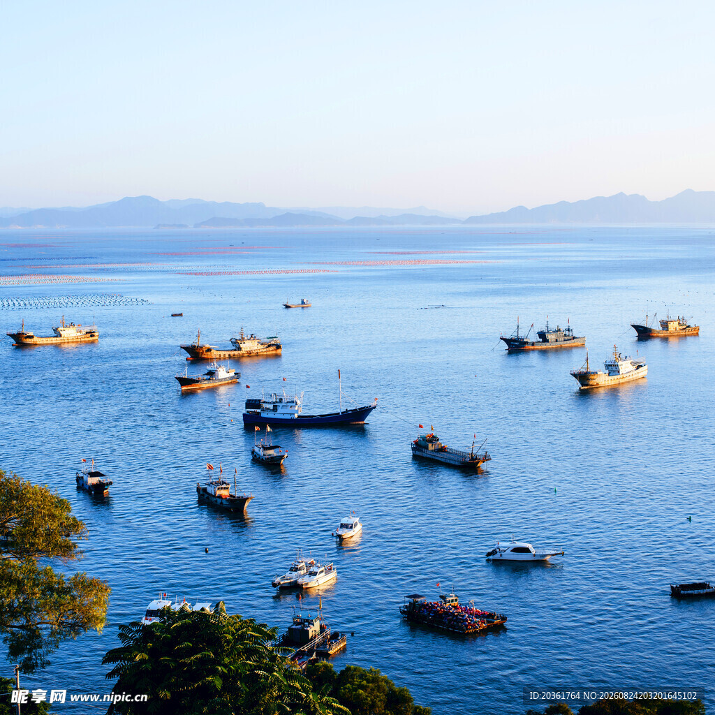 海上渔船群景