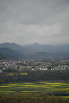 山间油菜花田与村落景观