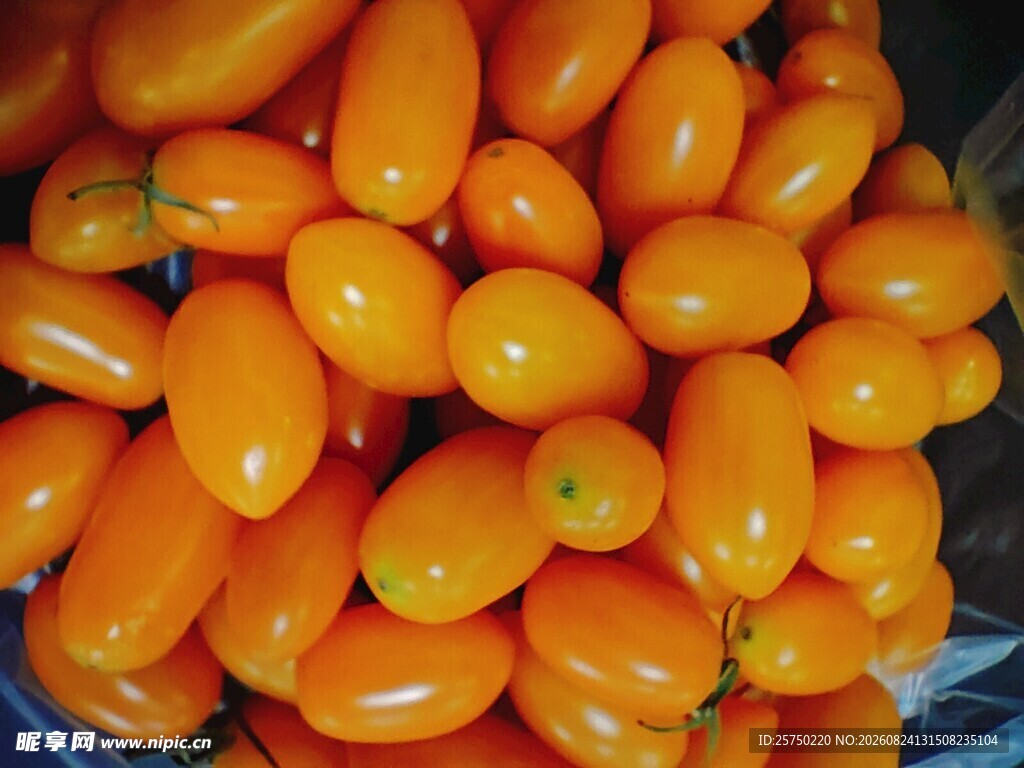 饱满诱人的黄色小番茄