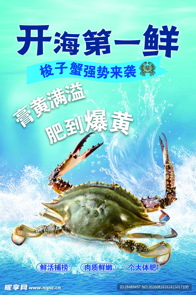 海鲜螃蟹 海洋