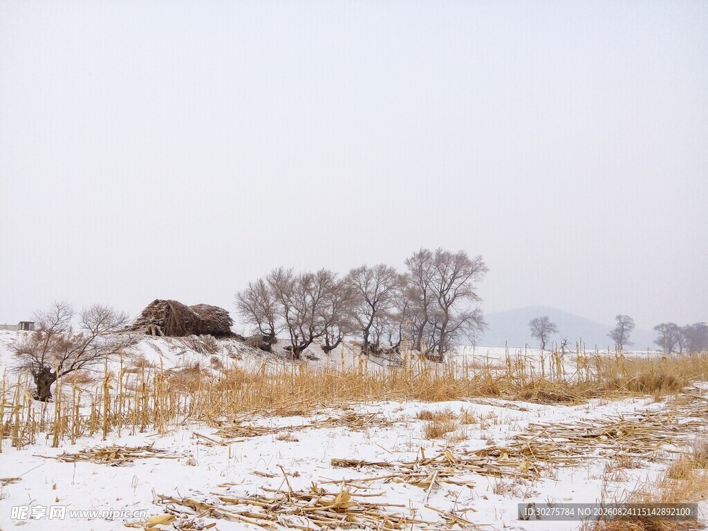 冬日旷野雪景