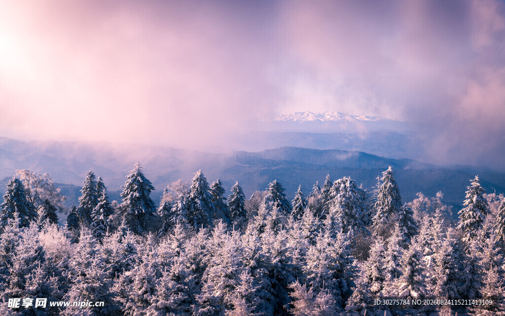 雪覆山林的梦幻黄昏时刻