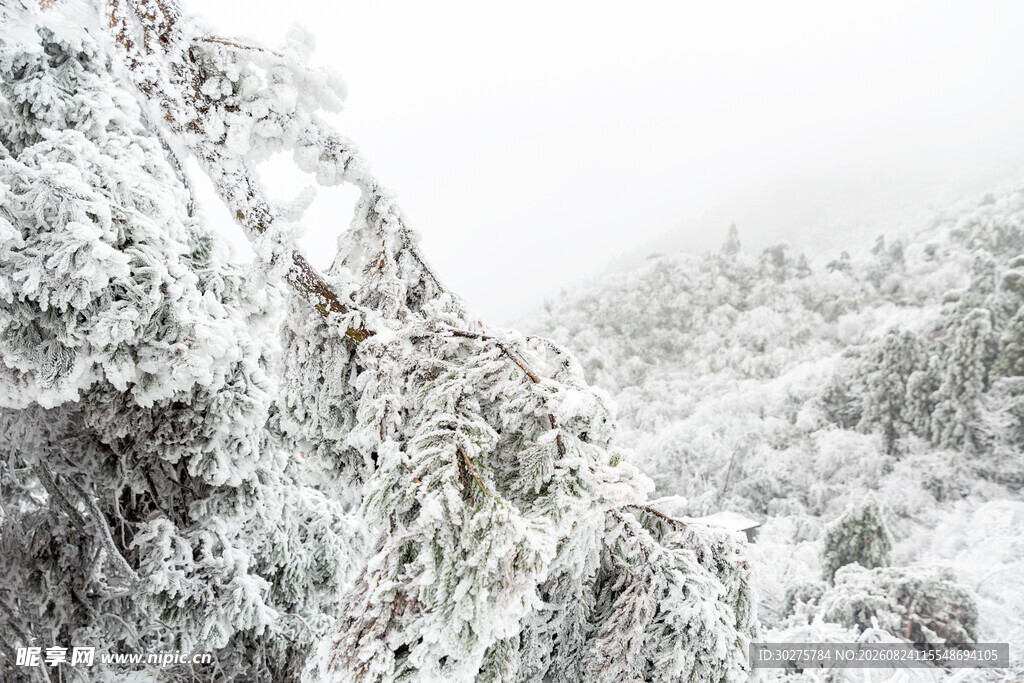 雪覆山林的冬日景致