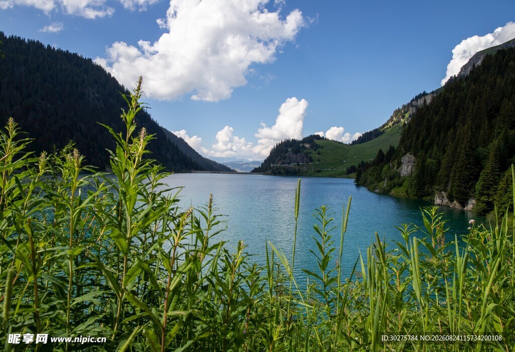 湖畔绿野蓝天碧水美景