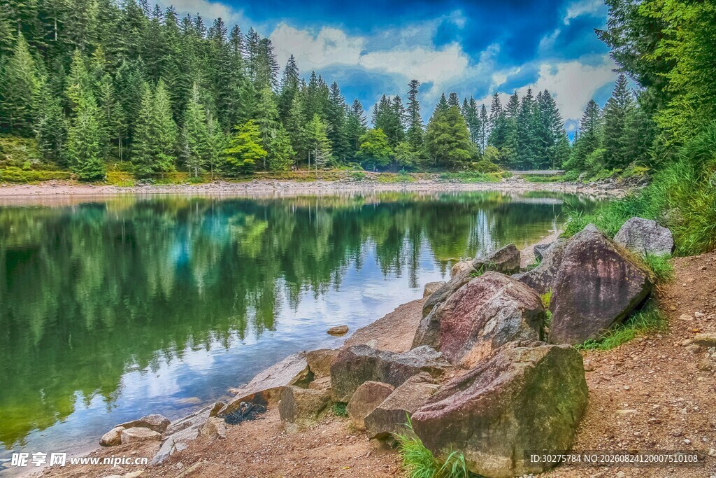 宁静湖畔森林美景