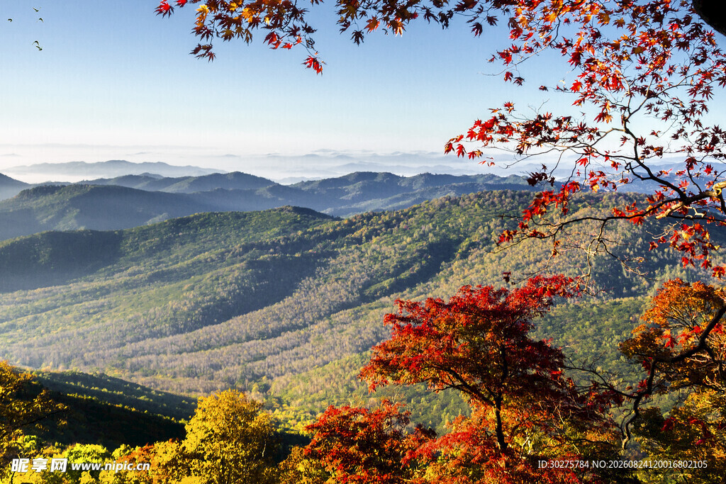 秋日山峦红叶美景