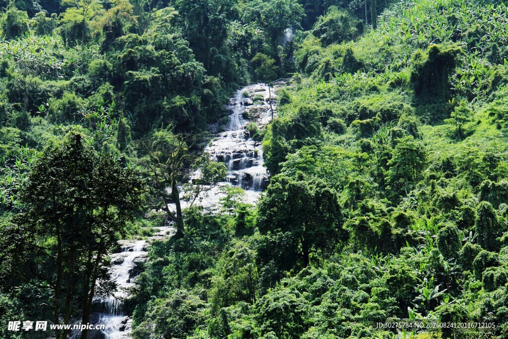 山间蜿蜒公路穿翠绿山林