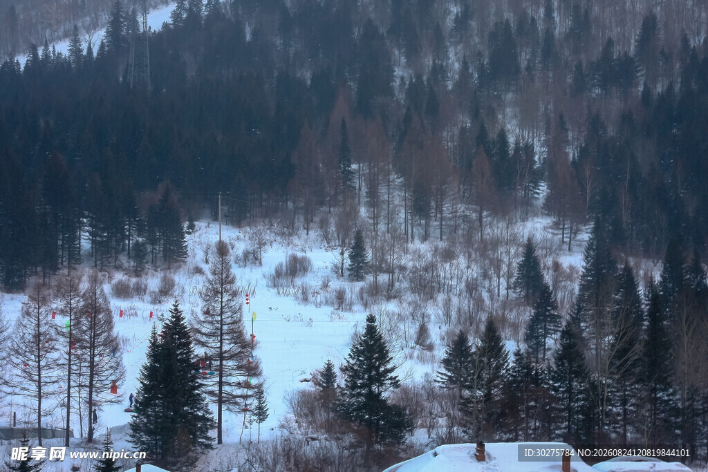 冬日山林雪景