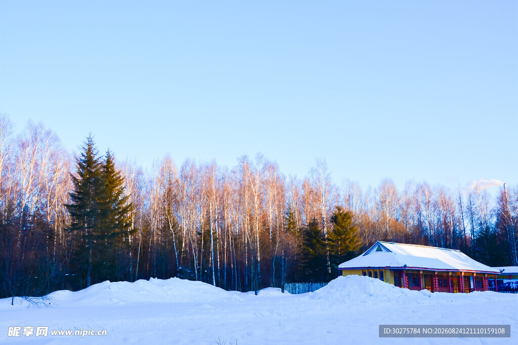 冬日雪中小屋与松林美景