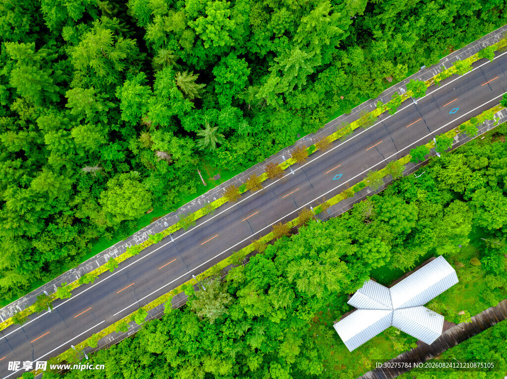 空中俯瞰林间公路与飞机