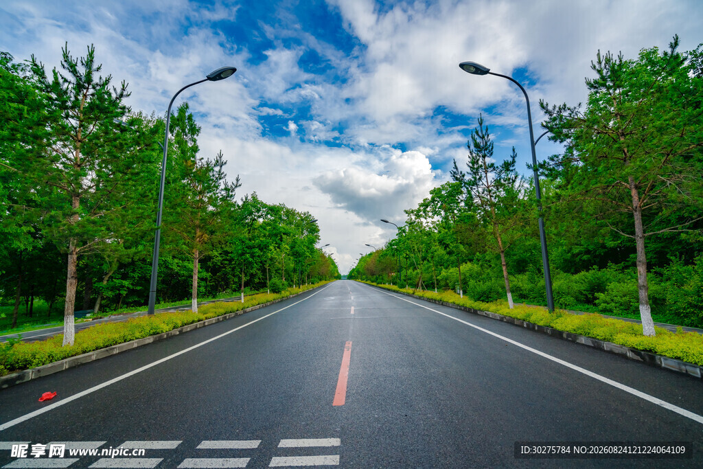 宽阔林荫公路蓝天白云