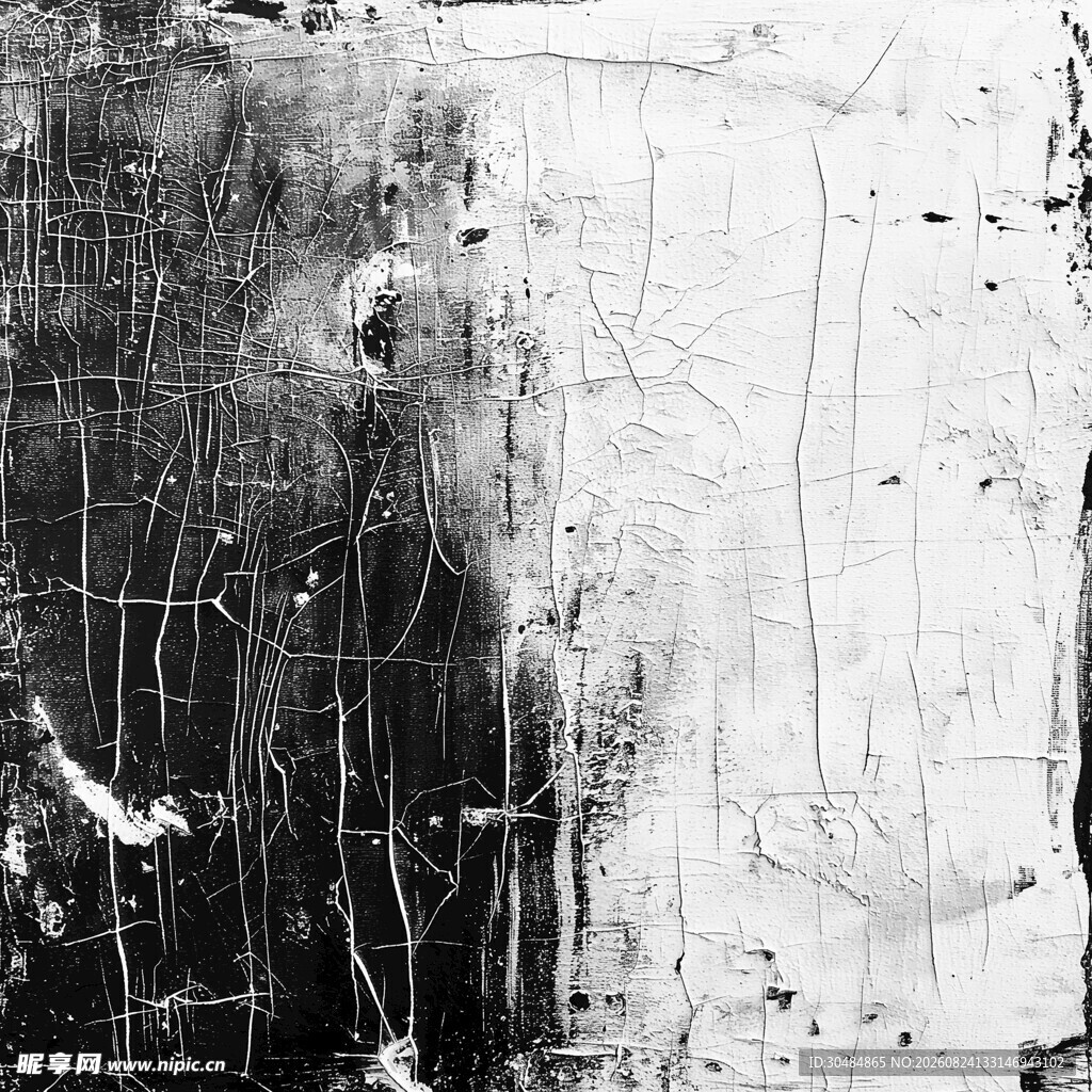 黑白抽象纹理艺术画面