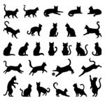 猫咪剪影合集