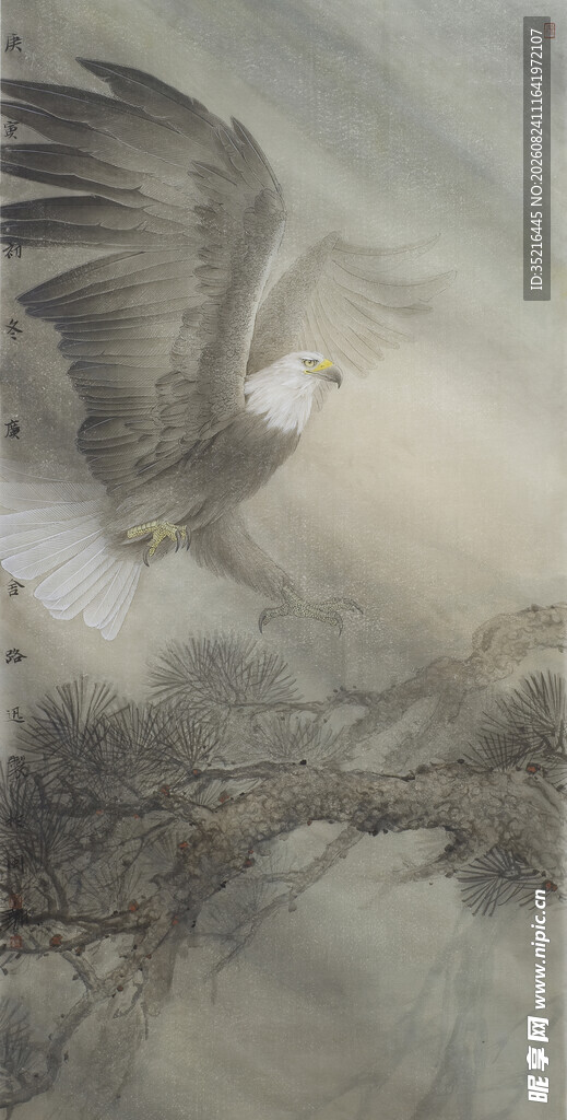 雄鹰展翅于朦胧天地间