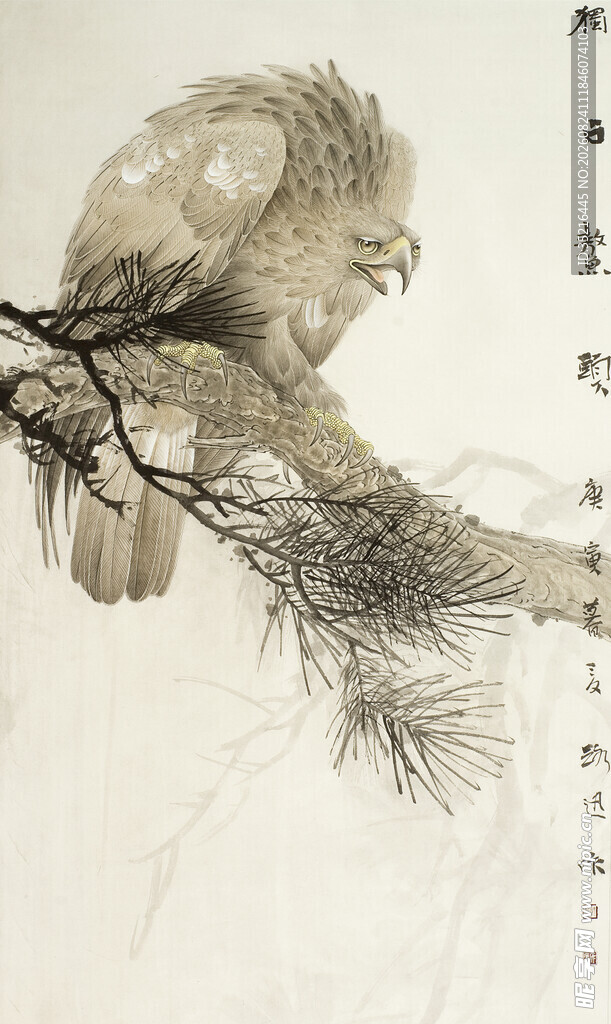 水墨雄鹰栖于松枝图