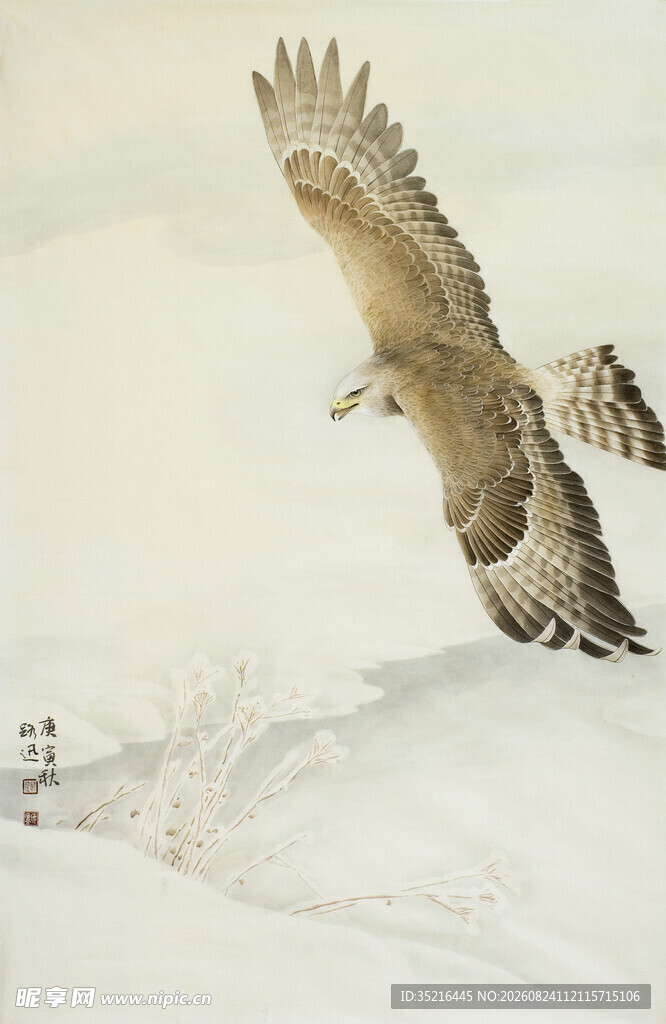雪野中展翅翱翔的雄鹰