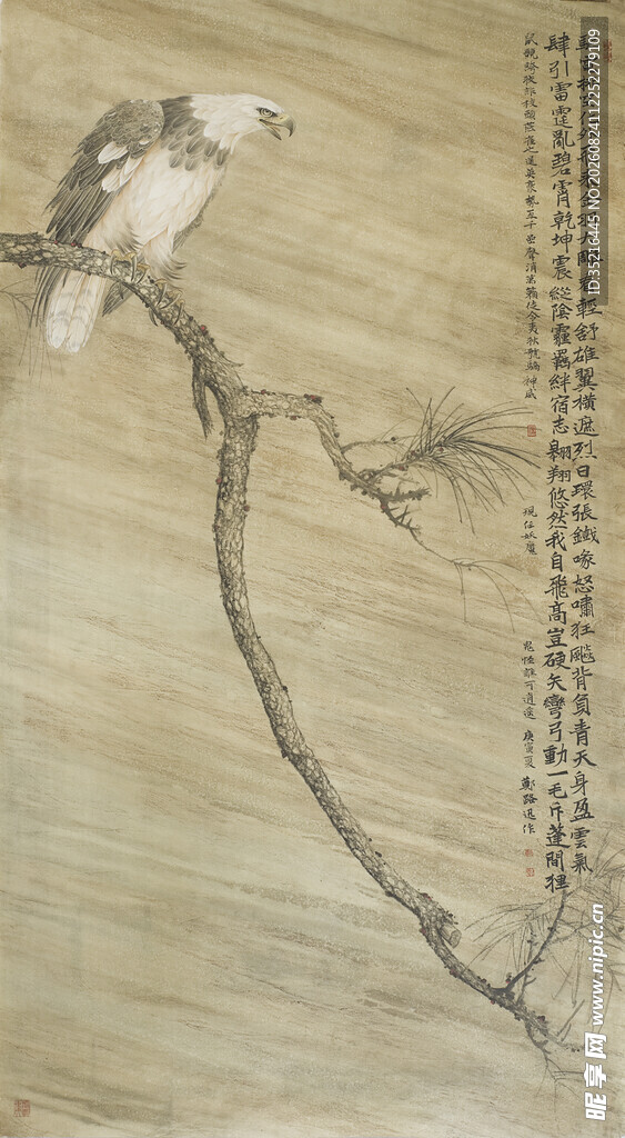 枝头栖息的鸟儿