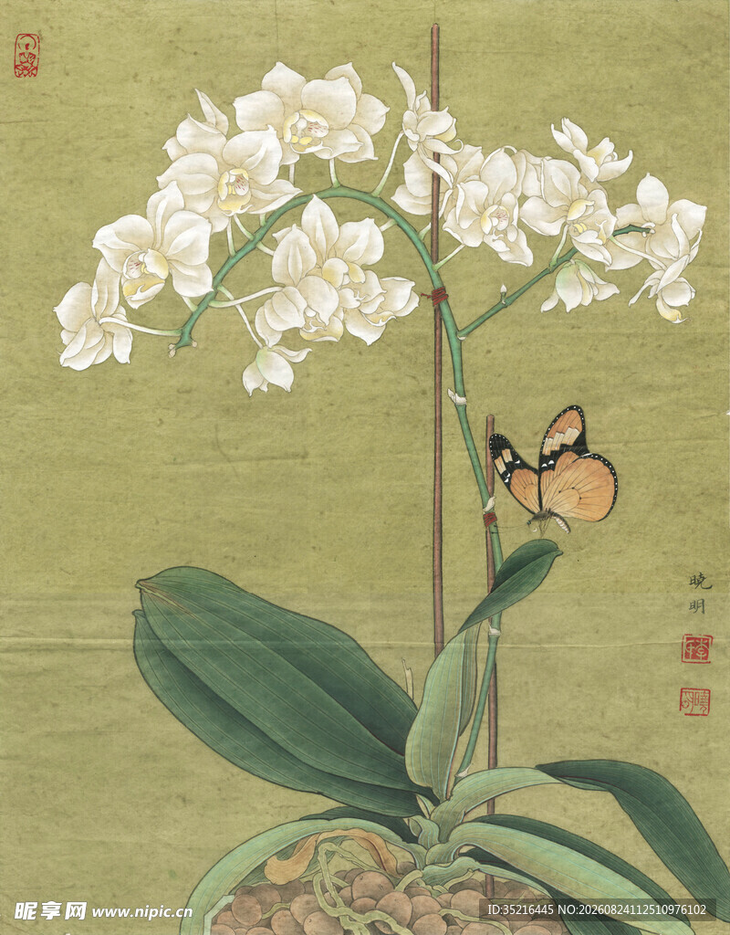 水墨白兰花与蝶图
