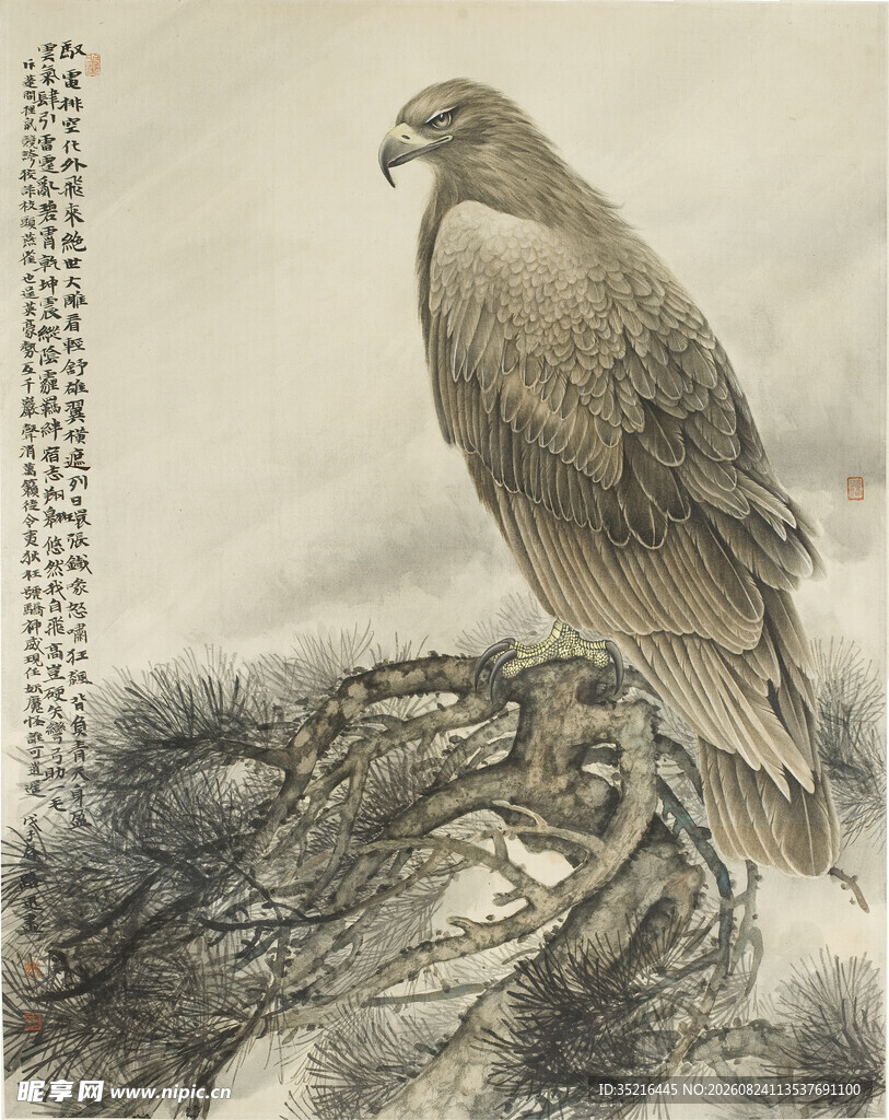 岩石上的雄鹰