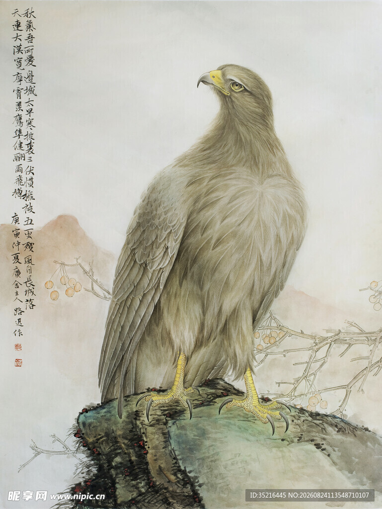 雄鹰立于石上
