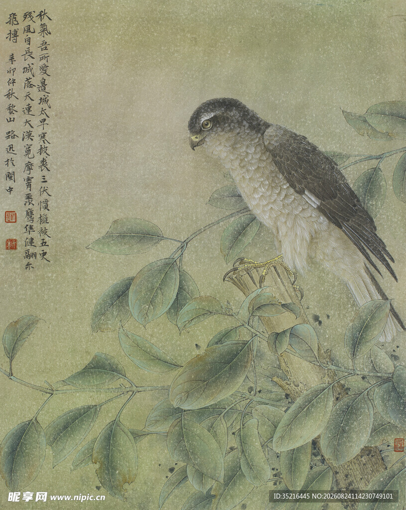 枝头栖鸟图
