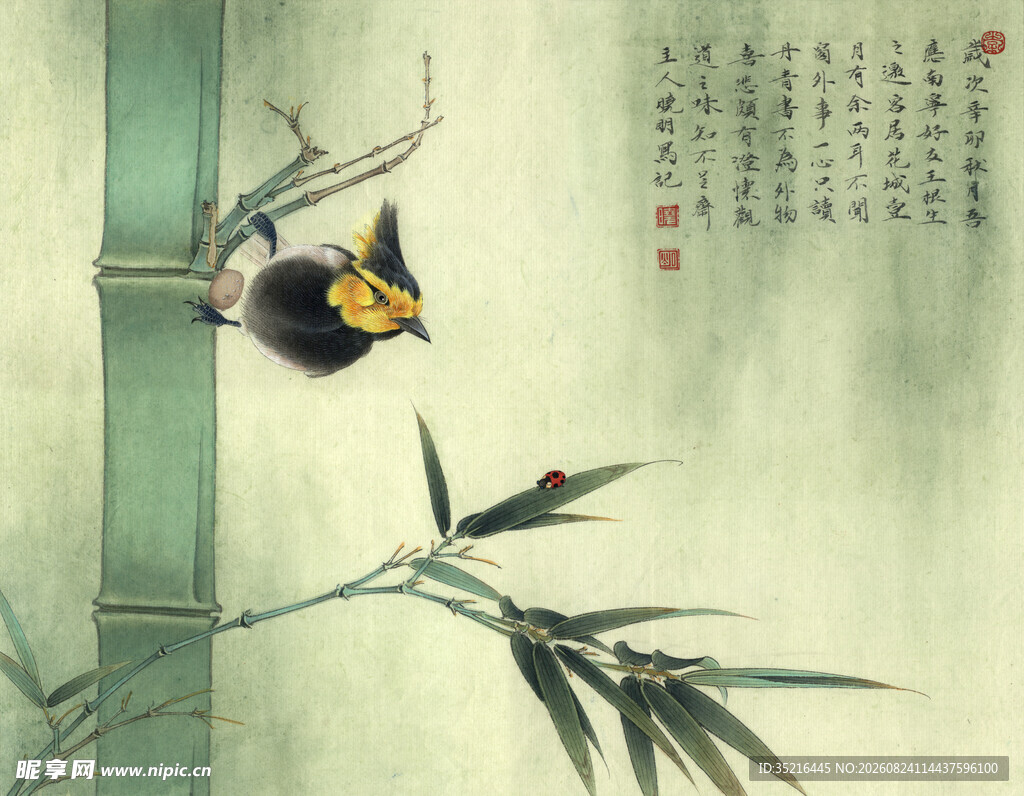 竹枝上的灵动小鸟