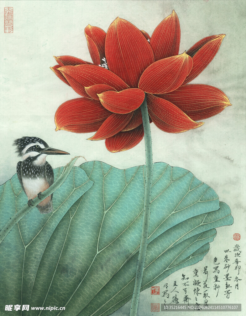 国画荷花翠鸟图