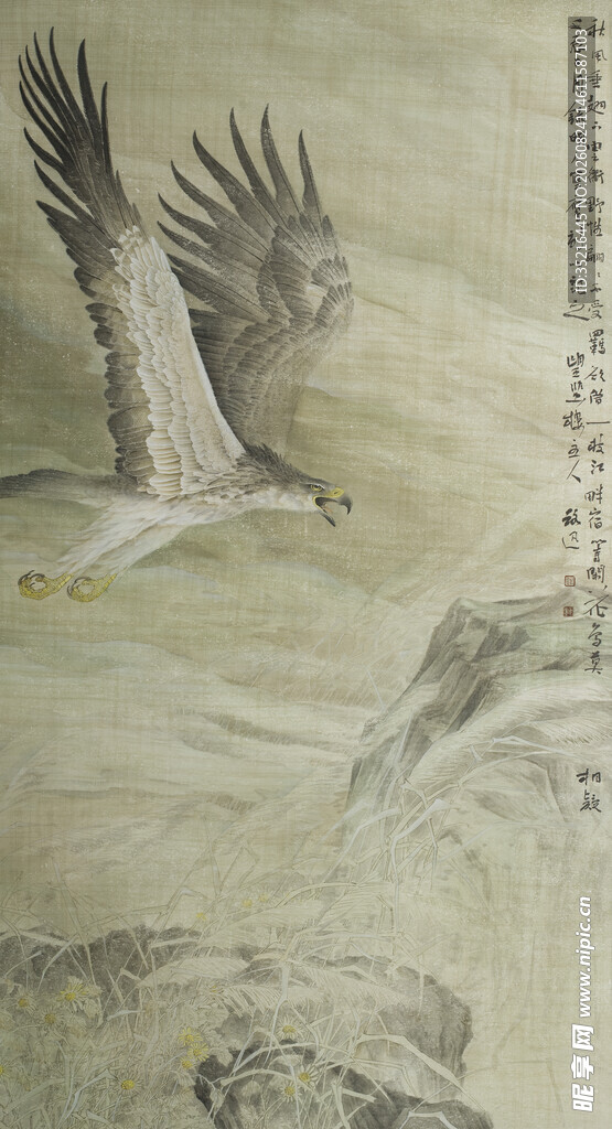 雄鹰展翅图