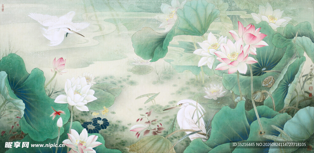 夏日荷塘花卉梦幻景象