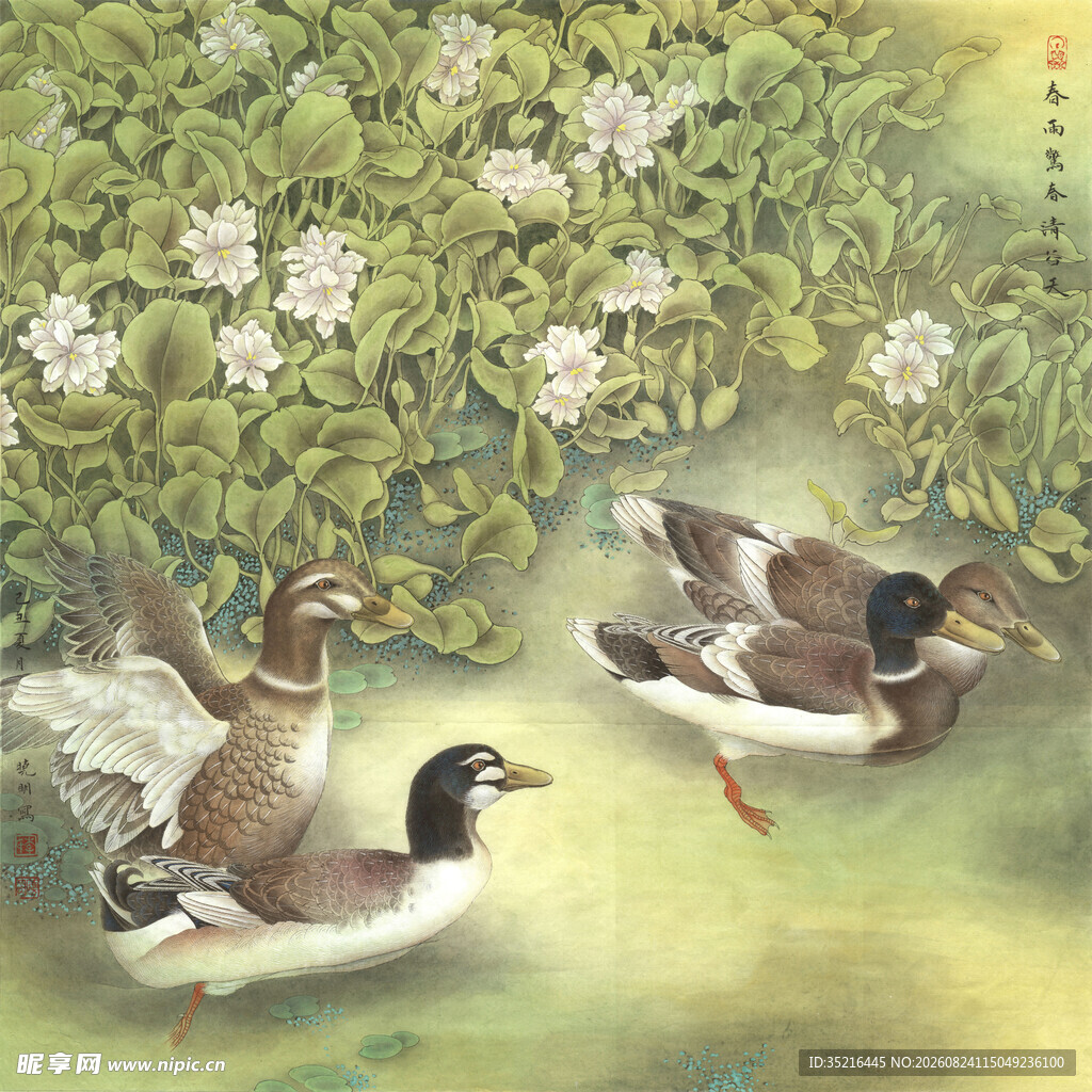 池塘边嬉戏的几只野鸭